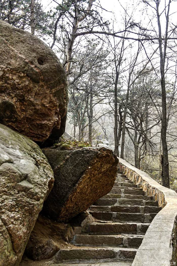 五大镇山之一沂山春来早