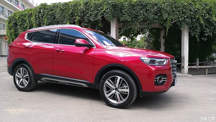 【征文】我的宝马良驹"赤兔"续