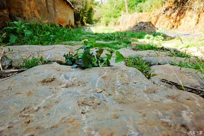 【老王带你逛云南】讲述昆明故事——长坡古驿道和肖家大门
