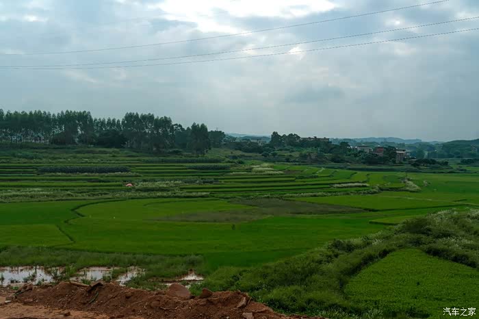 广西乡村游第一站金田