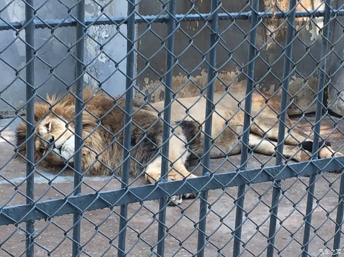 端午闲转,咸阳渭滨公园动物园逛起