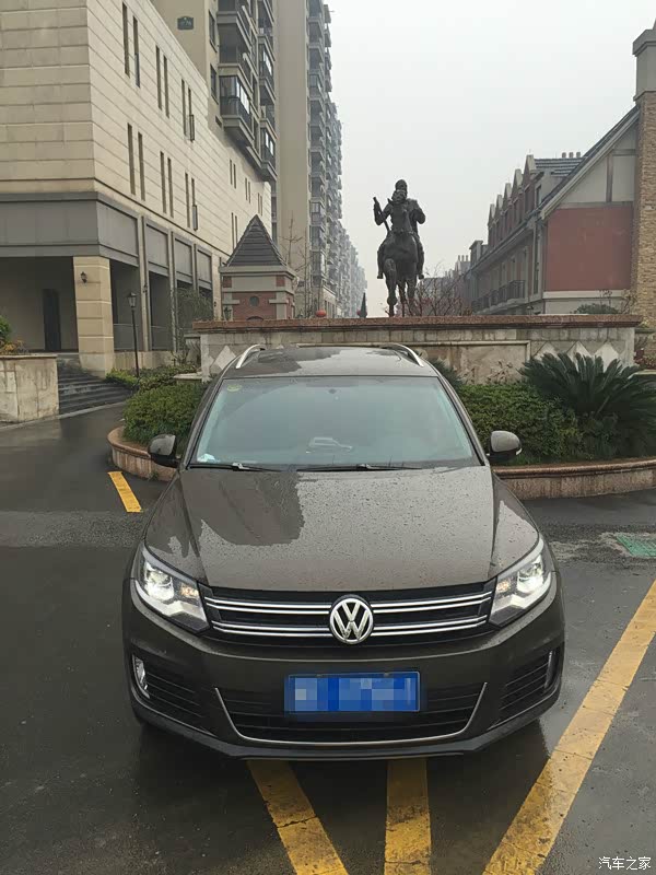 大途观霸气正脸