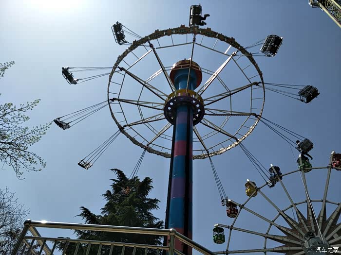 那一抹绿我在这里看到了——兴庆公园