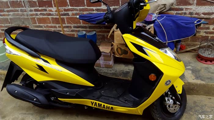 新买的迅鹰悦动版黄色