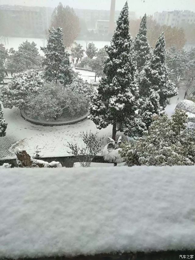 【图】郑州下雪啦。_宝马3系论坛