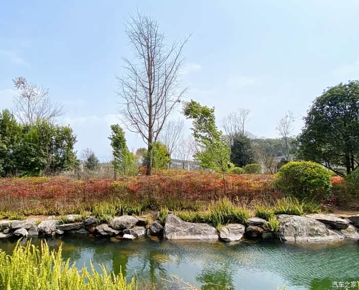 自驾爱车,高黎贡山植物园景区