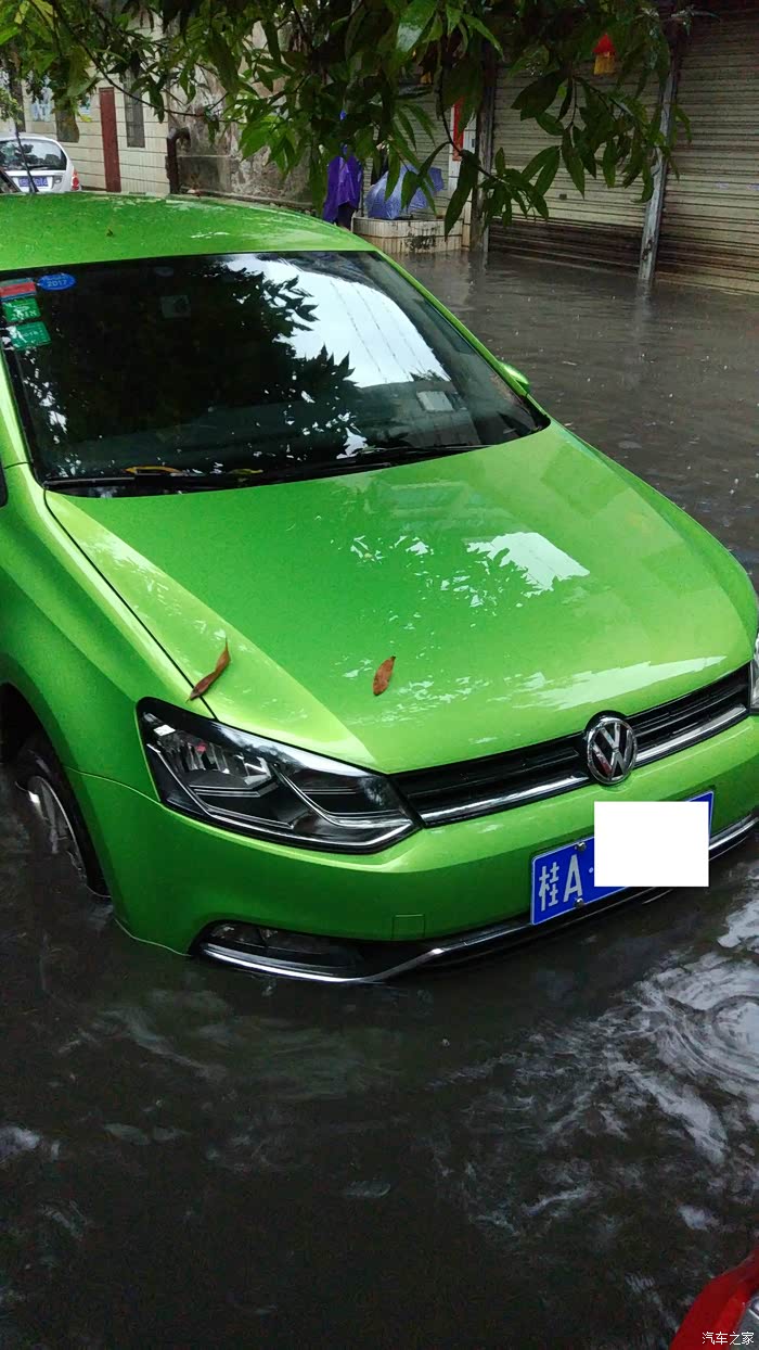 polo迟来的分享14款16l自动舒适流光绿