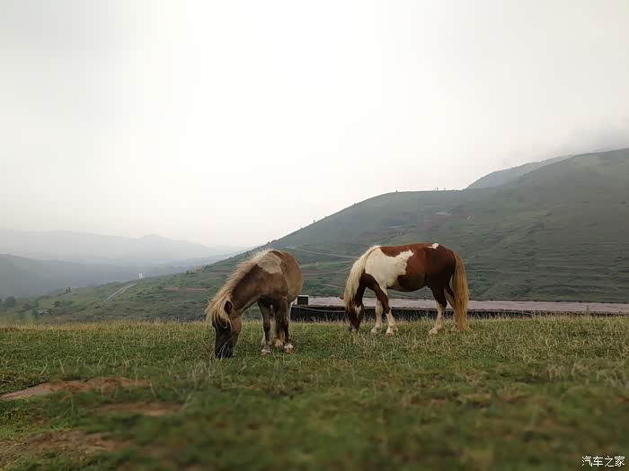 适逢周末开比亚迪e2去万安山高山牧场一游