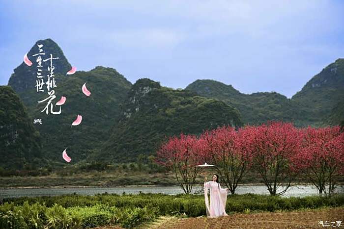 柳州千亩湖桃花图片