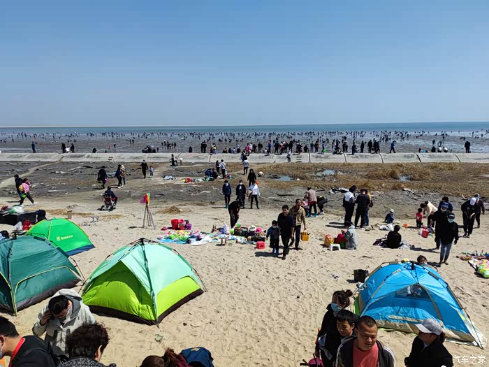 春日自驾好时光自驾天津塘沽赶海拾贝挖蛤蜊