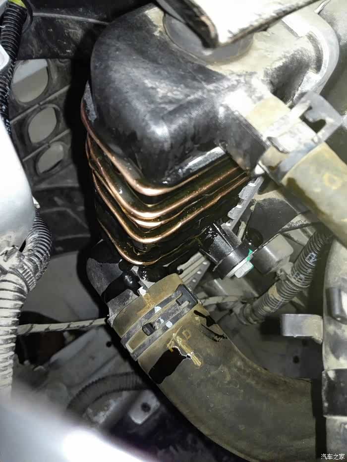 【图】水箱加固了_宝骏630论坛_汽车之家论坛