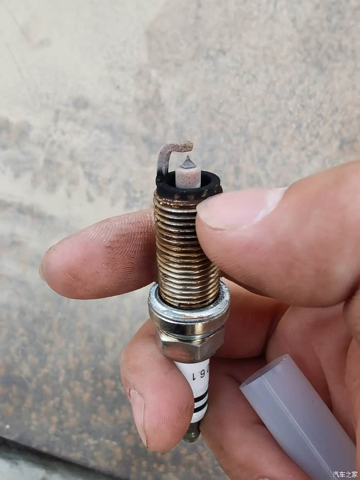 各位大侠,大家火花塞都用什么?
