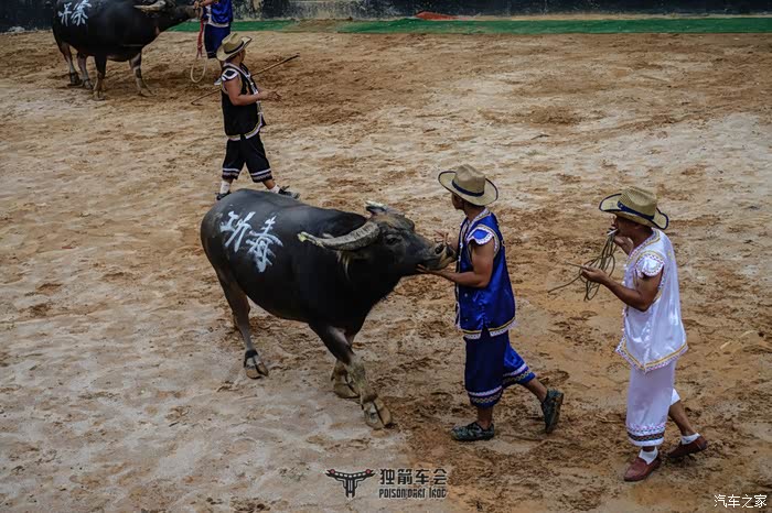 【图】【马帮爱心帮扶·贵州行】独箭游云上丹寨,观苗族风情_牧马人