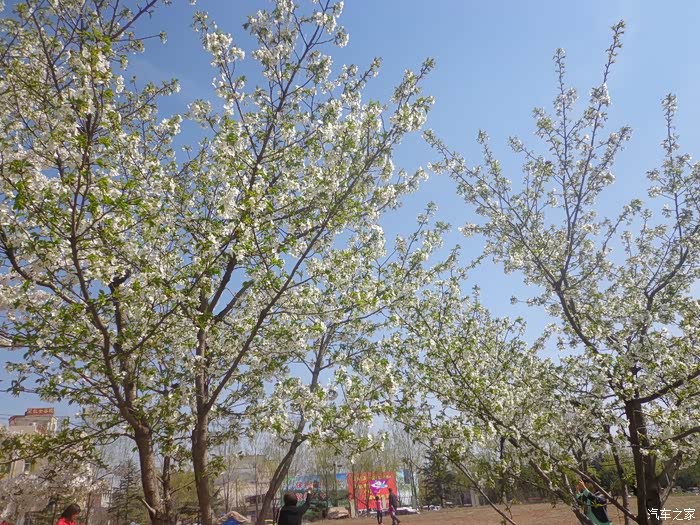 周日天气晴看天气错早起来就带孩子去秦灞庄园玩去先