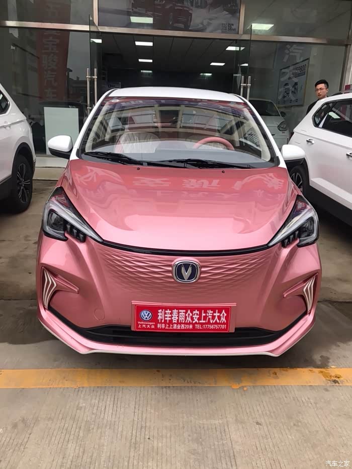 粉红色等待了2个月,最终放弃了~投奔欧拉白猫了
