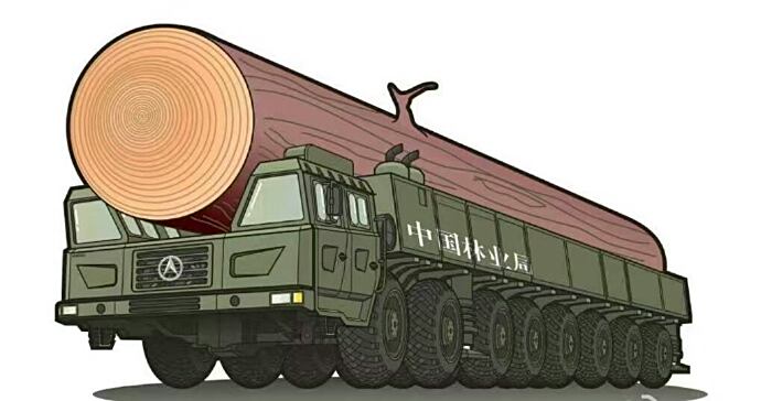 朝鲜原木运输车图片