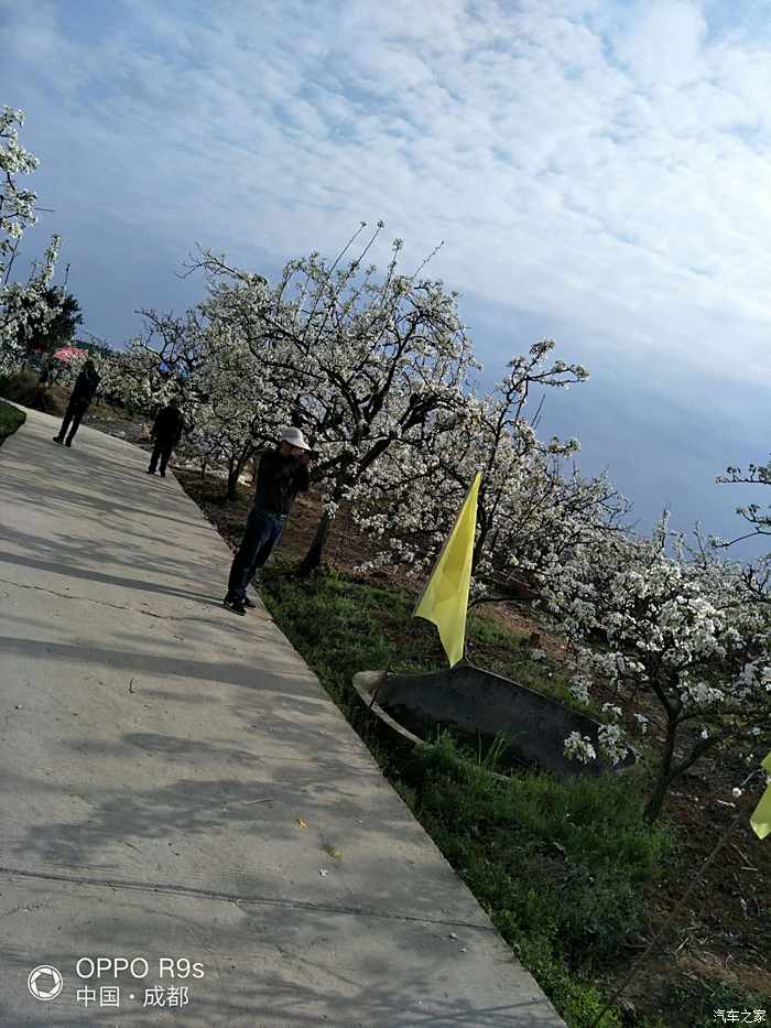 简阳梨花沟风景区图片图片