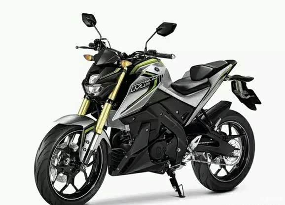 雅马哈mt15会在国内上市么?