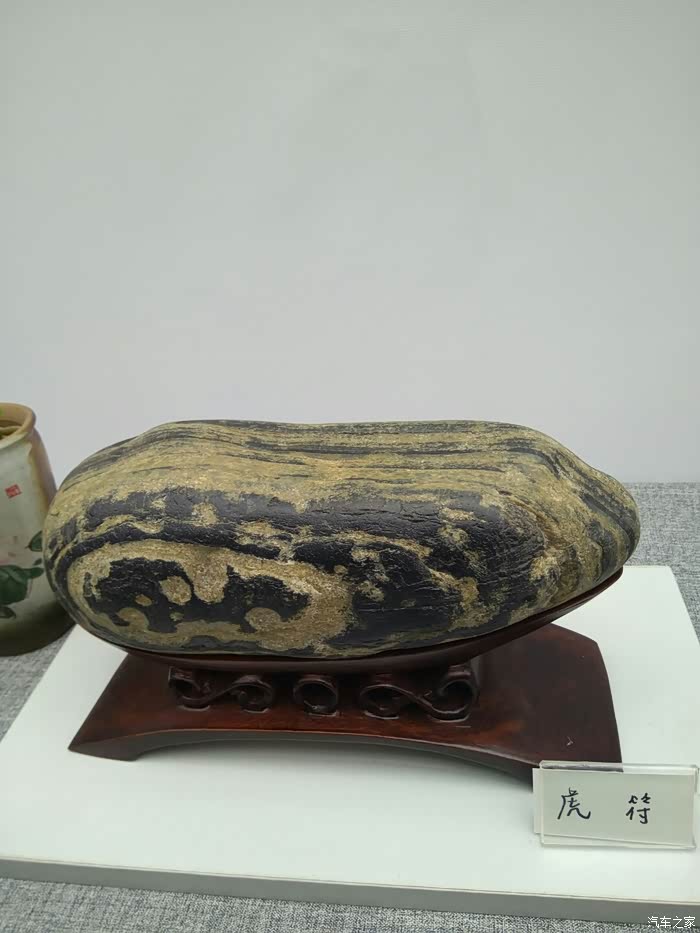 动如脱兔静如处子川军团鱼塘坏淫开远景x6泸州奇石展览记