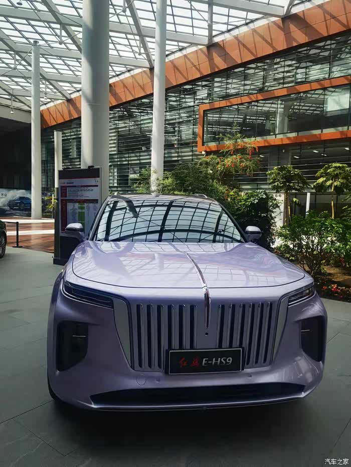 【图】靓丽红旗e-hs9_吉林论坛_汽车之家论坛