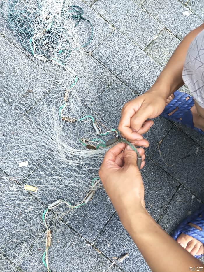 三天打鱼两天晒网之说走就走