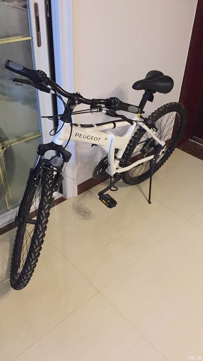 传说中的东风标致原厂自行车!5888元!      好吧,等车ing