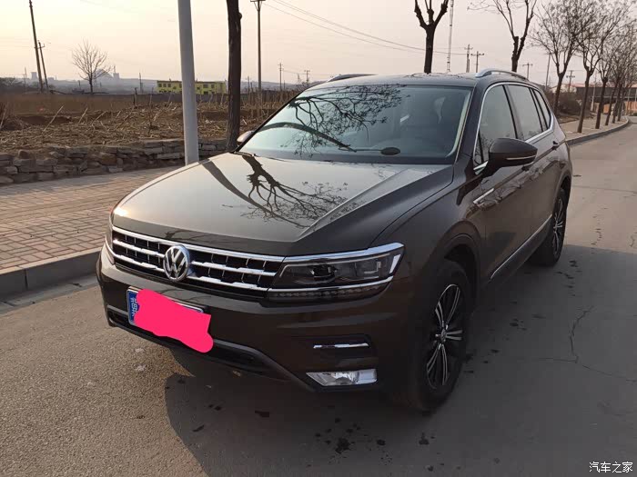 途观l20豪华峻岭棕提车