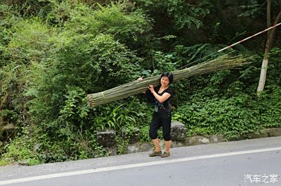 恩施神农架游