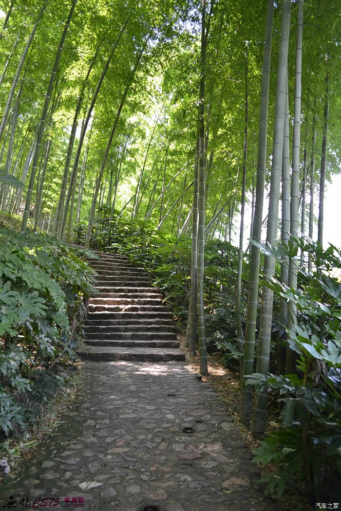 无锡cs75车友会宜兴竹海自驾游