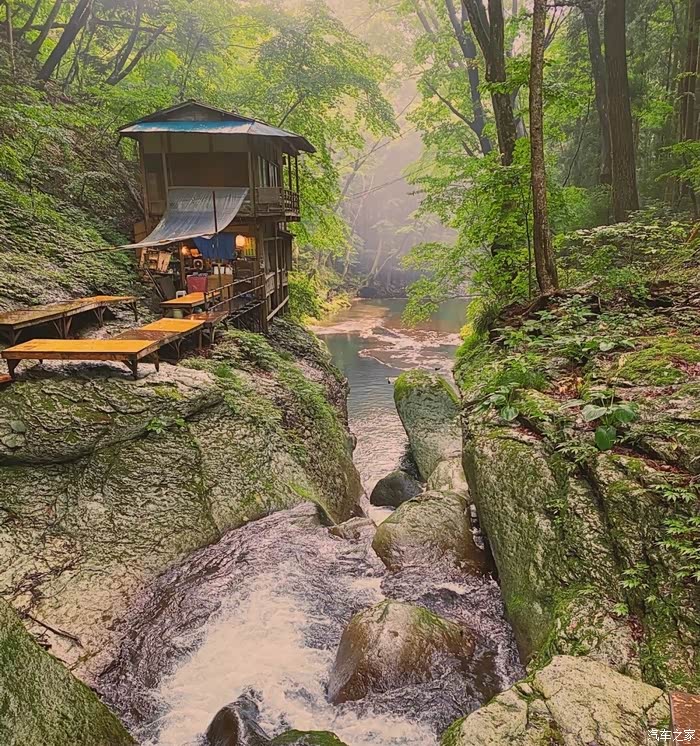 万物复苏送福利韶关之旅天井山林场