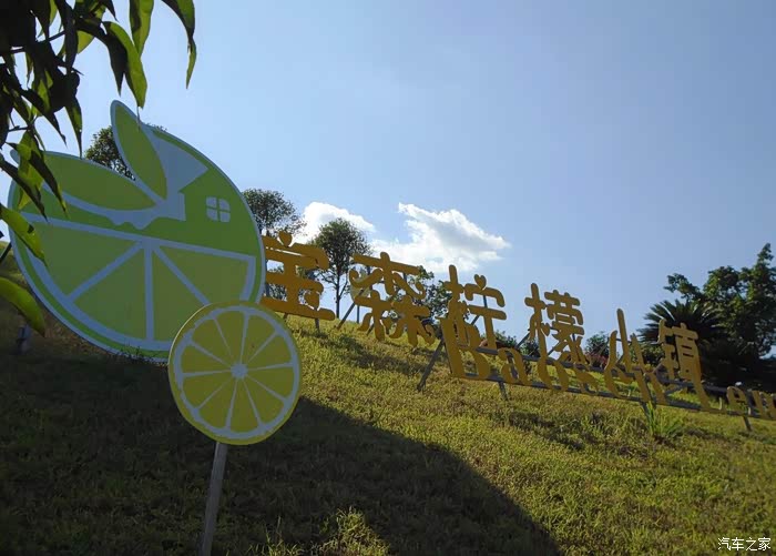 参观柠檬小镇,了解柠檬的各种用处.