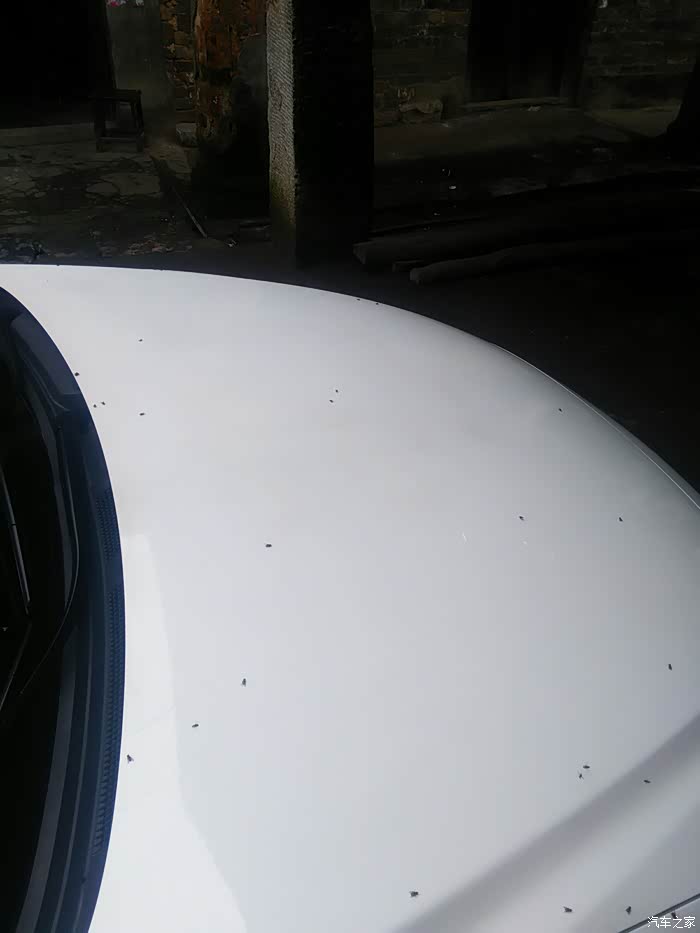 一个半月车漆出现暗斑怎么解决