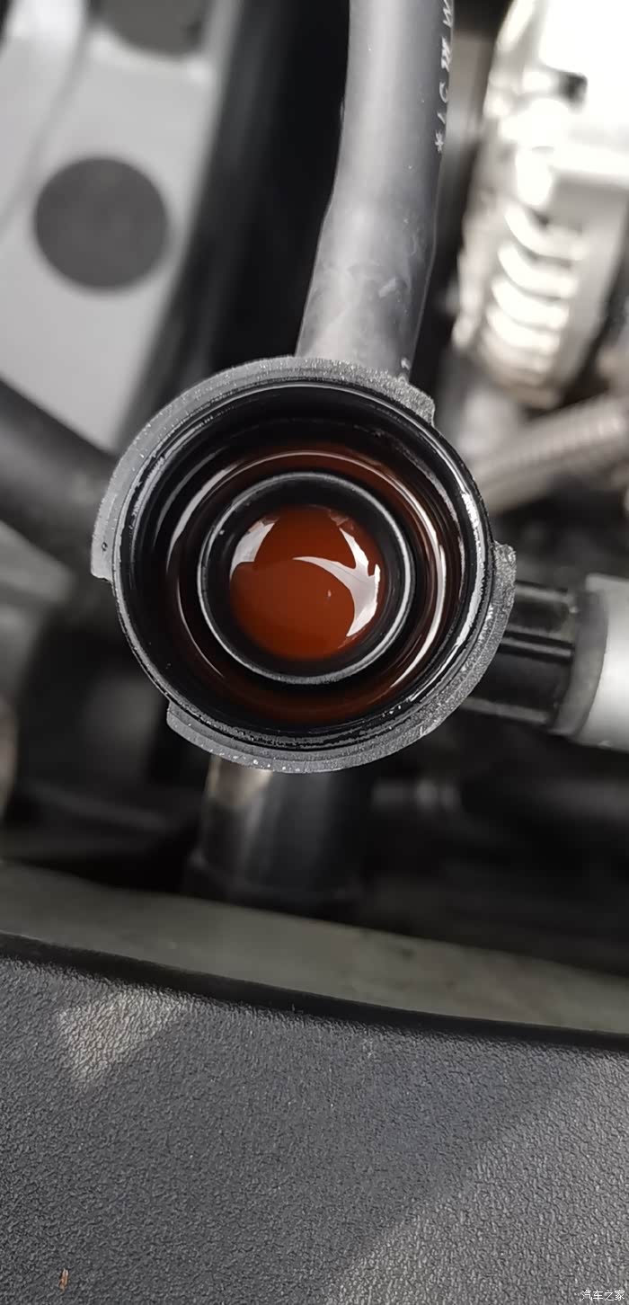 各位车友,防冻液颜色正常吗?2020款荣放