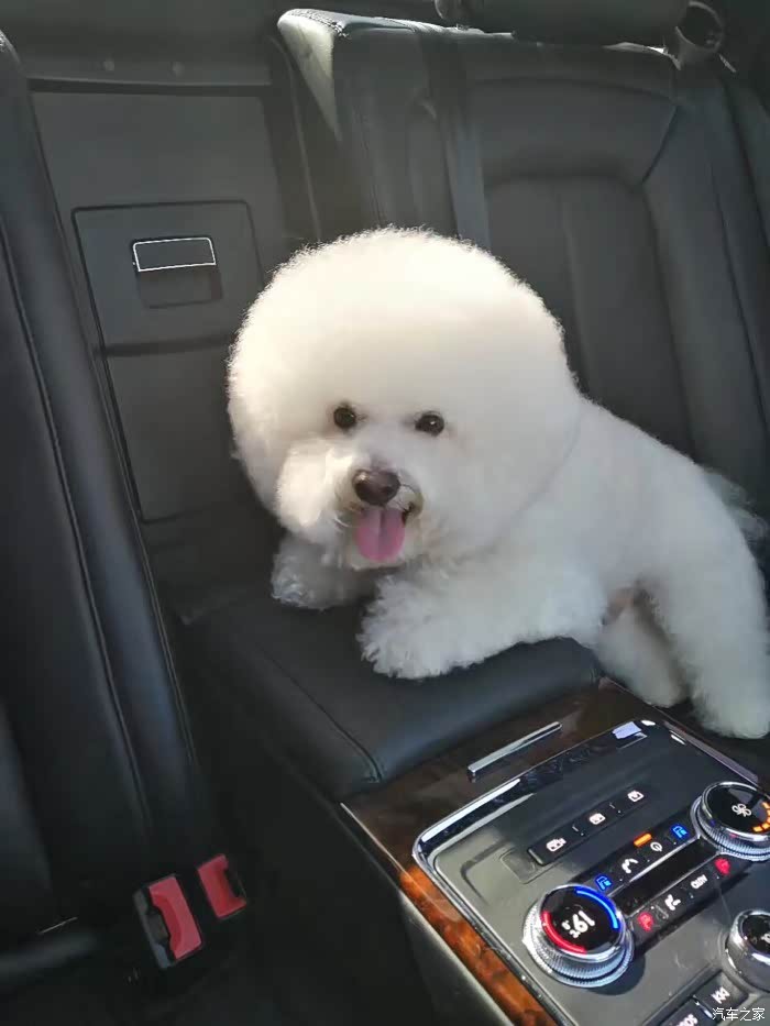 【图】看图猜车_奥迪q5论坛_汽车之家论坛