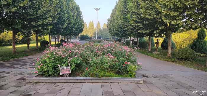 故地重游,打卡孙禄堂公园,感受那秋天的气息!