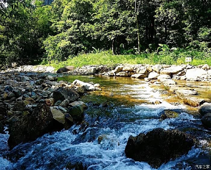 万物复苏送福利韶关之旅天井山林场
