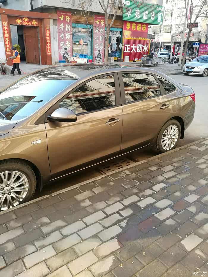 今天定车了有提棕色的吗