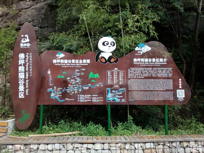 到处可见熊猫影子