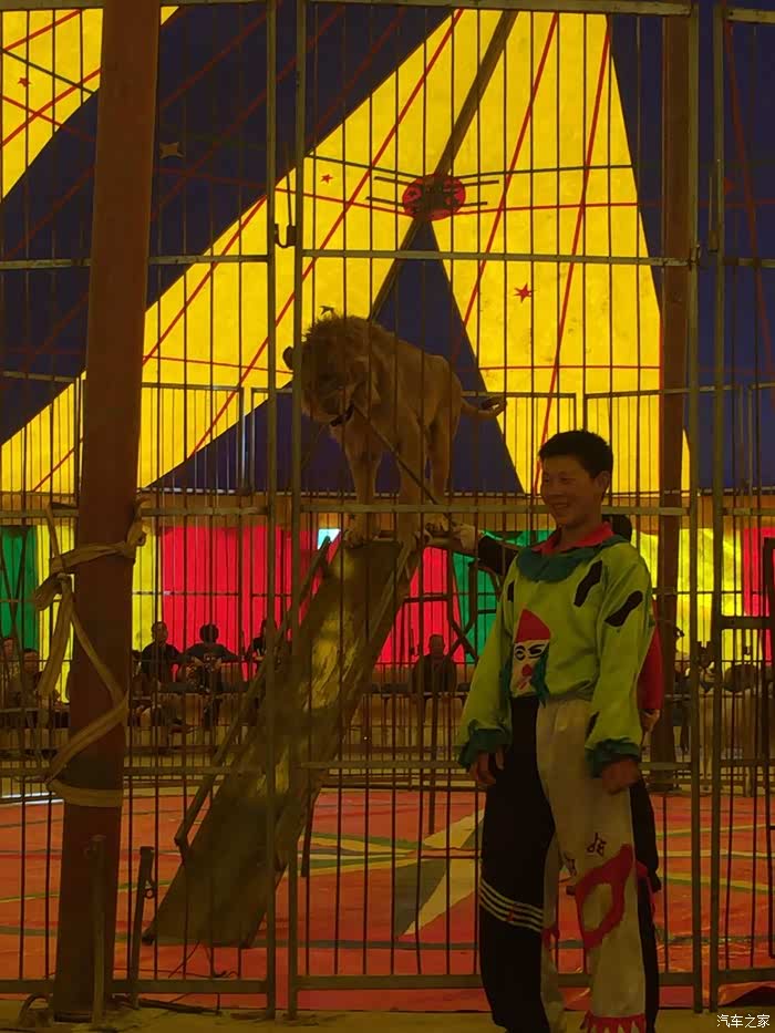 邯郸家门口的樱花节启乐小镇樱花节