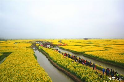 3泰州興化油菜花,泰州老街,溱潼古鎮之旅