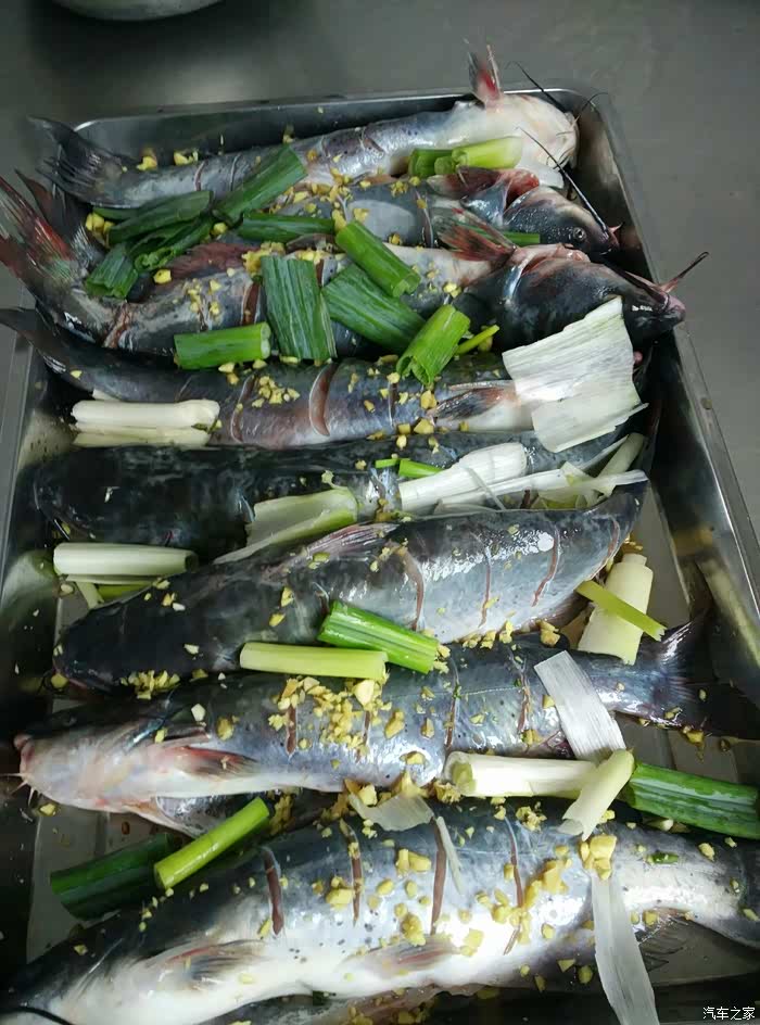 美少妇的私房菜(清蒸潜鱼)