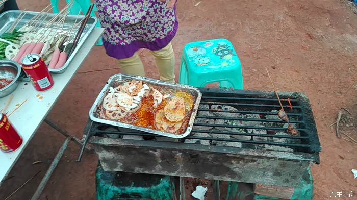 四川斯柯达车友汇线下活动16百工堰烧烤聚会