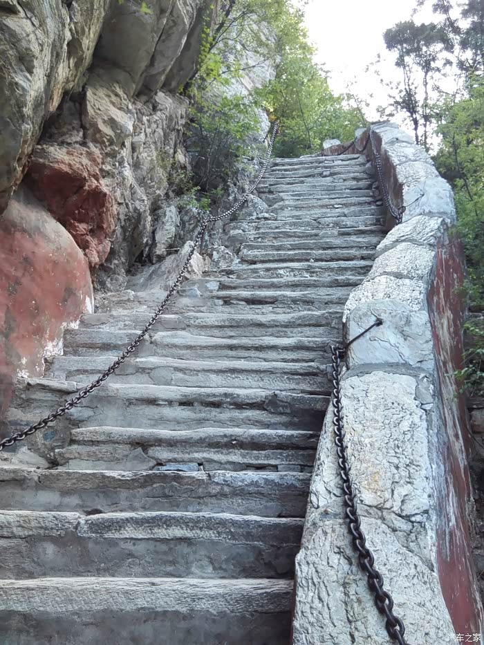 四大树王上方山,佛说四十二章经