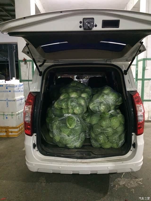 【图】宏光拉货!_五菱宏光论坛_汽车之家论坛