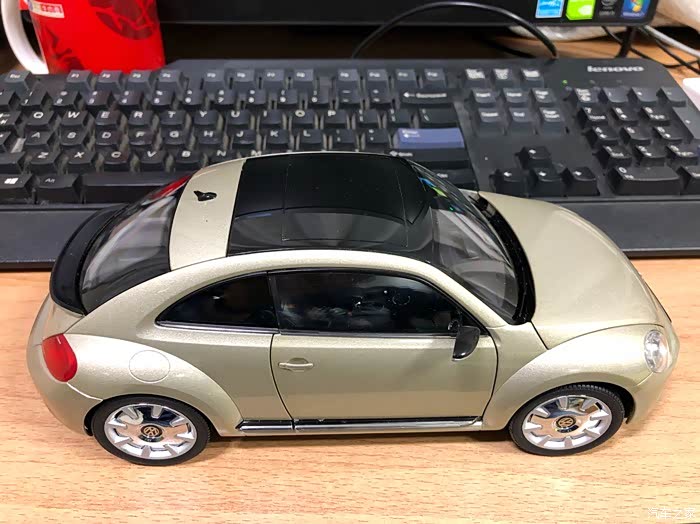 小身材大味道-甲壳虫模型随拍