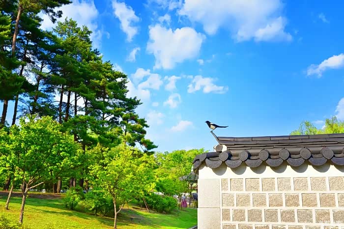 【迎暖春送积分】韩国人气最高的7个最美韩剧拍摄地