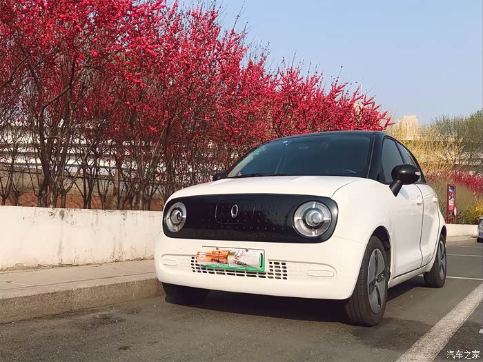 【图】白色黑猫局部改色,鲜艳好看,黑白经典_欧拉黑猫论坛_汽车之家