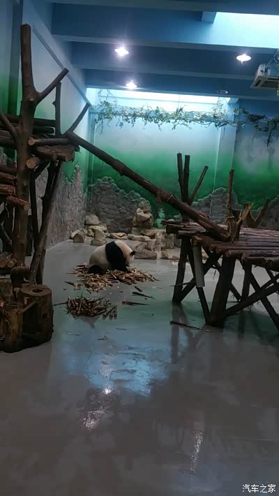 蜜月自驾十日游石家庄-九寨沟-成都-西安-平遥-石家庄共4000公里