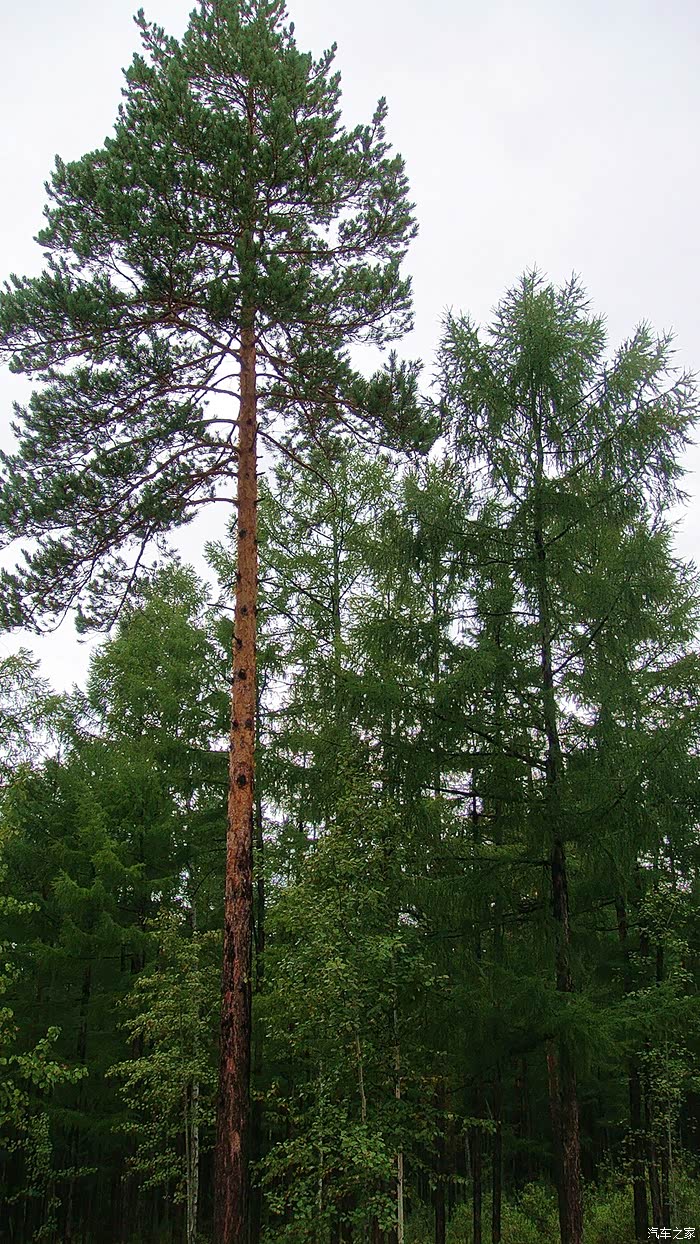 【"闯关东"】东北三省游记 黑龙江篇