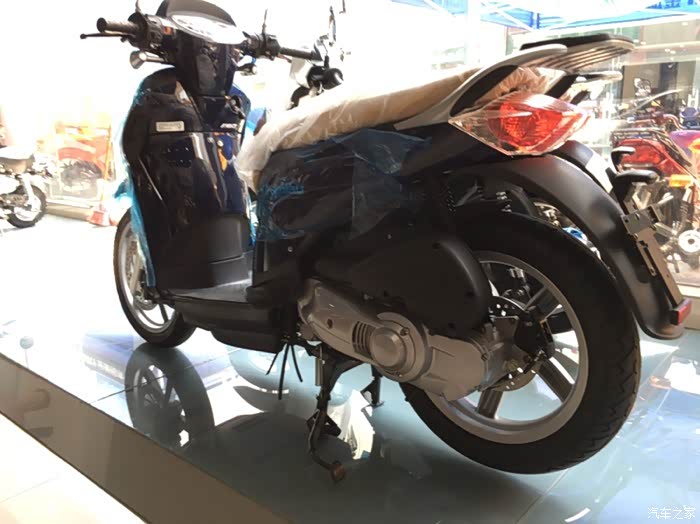 看了金城圣甲虫的一点看法